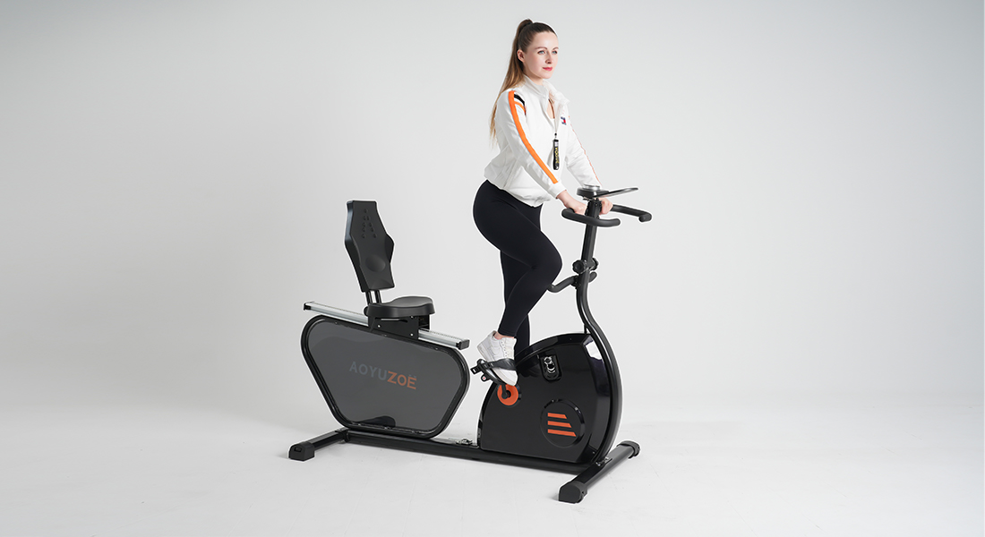 2 IN 1 RECUMBENT BIKE PLUS ROWING MACHINE